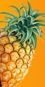 Nanas segar